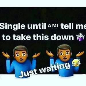 Meet your Posher, Terry